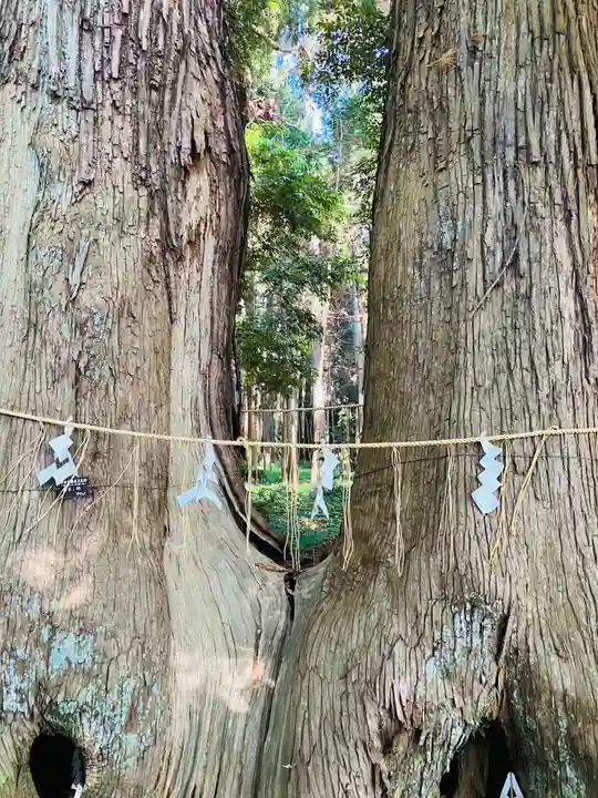 日吉神社(千葉県)