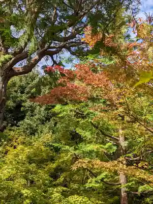 勝林寺(京都府)