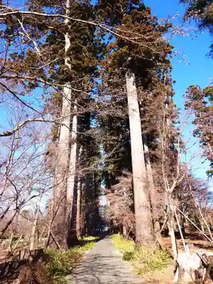 八幡宮(茨城県)