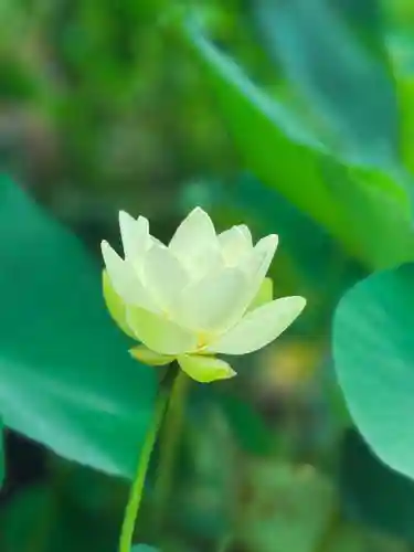 伊勢の国 四天王寺(三重県)