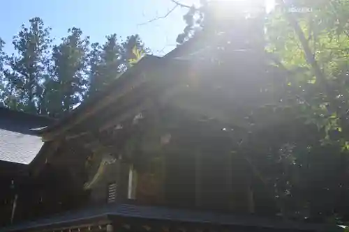 宝登山神社(埼玉県)