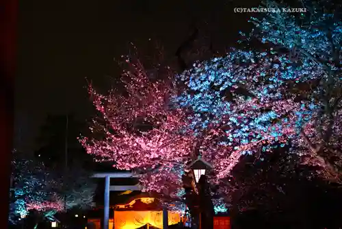 靖國神社(東京都)