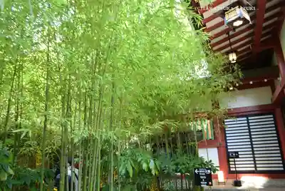 來宮神社(静岡県)