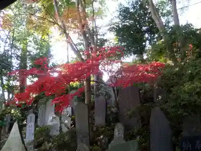 高尾山薬王院のその他建物