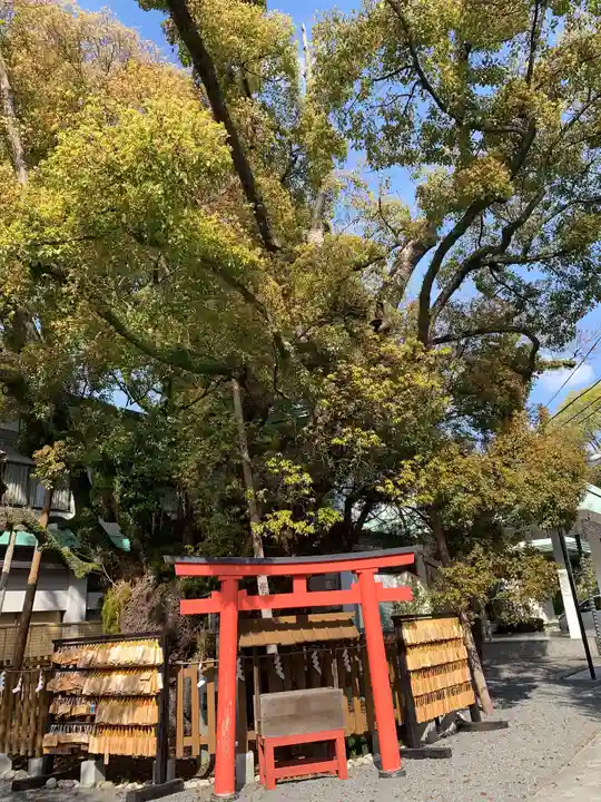 富知六所浅間神社の自然