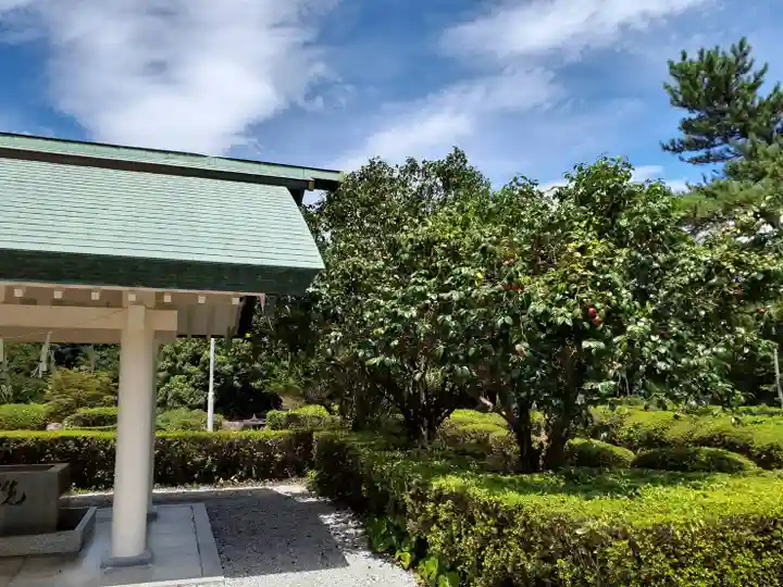 屋久島大社の手水舎