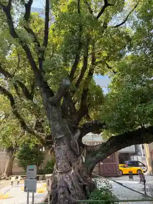 難波神社(大阪府)