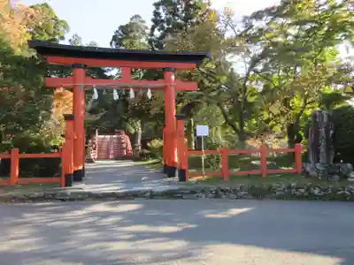 丹生都比売神社の鳥居