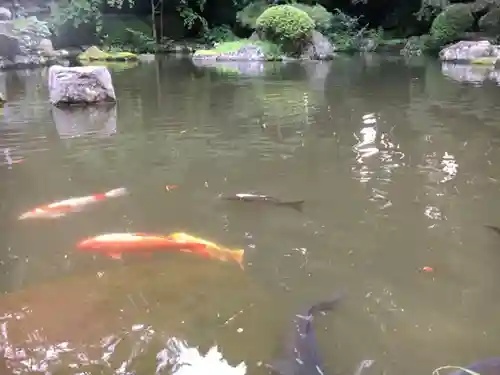 香取神宮の庭園