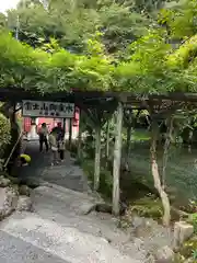 富士山本宮浅間大社(静岡県)