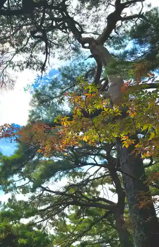 蚊里田八幡宮(長野県)