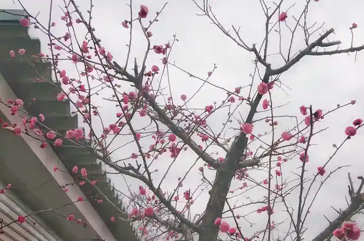 立浪稲荷大明神の自然