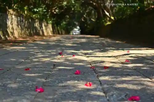 酒列磯前神社(茨城県)