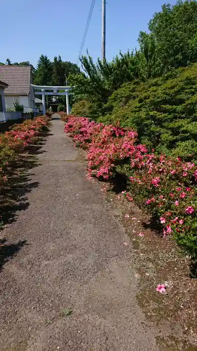 火雷神社の鳥居