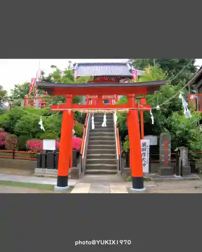 塚越稲荷神社(埼玉県)