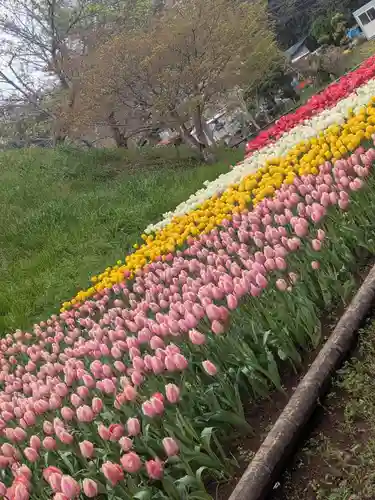 泉蔵寺の自然