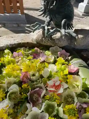 立志神社の手水舎