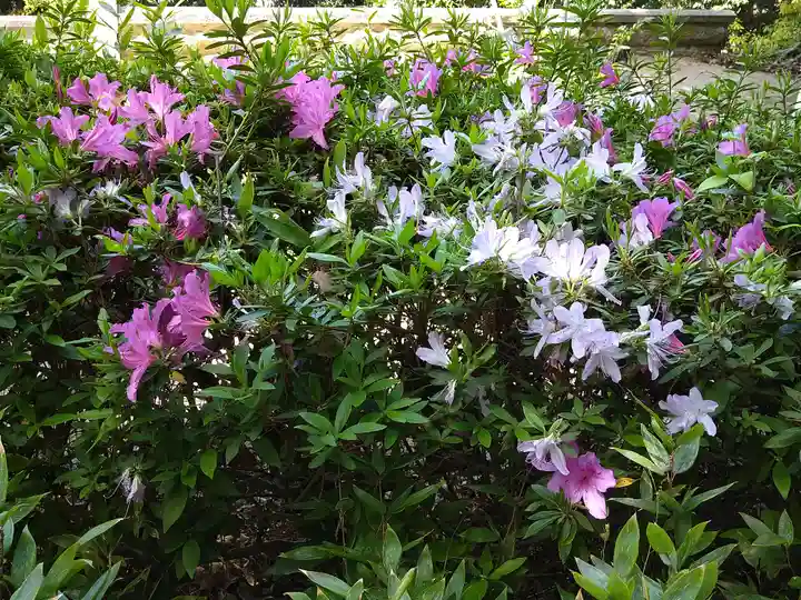 阿智神社(岡山県)