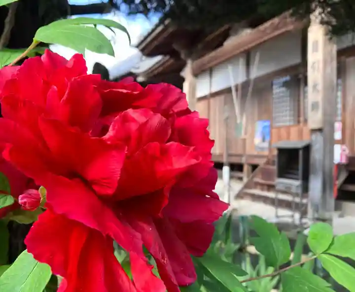真言宗 善通寺派 薬王寺(香川県)