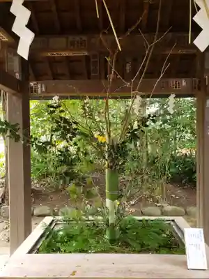 赤坂氷川神社(東京都)