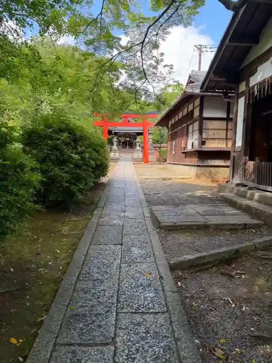 竹中稲荷神社(吉田神社末社)の{uncategorized: "未分類", other: "その他", undefined: "問題あり", building: "その他建物", grave: "お墓", sacred_gate: "鳥居", guardian: "狛犬", statue: "像", buddha: "仏像", history: "歴史", nature: "自然", garden: "庭園", animal: "動物", pagoda: "塔", temizu: "手水舎", mountain_gate: "山門・神門", sanctuary: "本殿・本堂", subordinate: "末社・摂社", art: "芸術", scenery: "景色", jizo: "地蔵", ema: "絵馬", goshuin: "御朱印", omikuji: "おみくじ", items: "授与品その他", amulet: "お守り", goshuincho: "御朱印帳", eats: "食事", festival: "お祭り", votive_dance: "神楽", shichigosan: "七五三参", wedding: "結婚式", experience: "体験その他", initially: "初詣", around: "周辺", anti_infection: "感染症対策"}