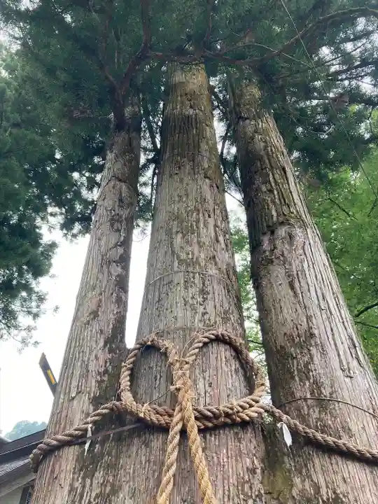 奥氷川神社(東京都)