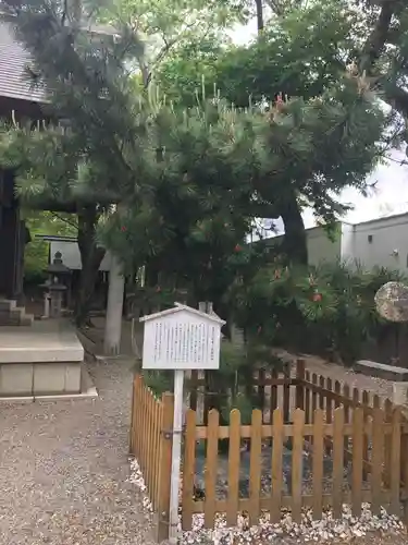 安久美神戸神明社の自然