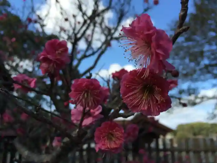 多賀神社(福岡県)