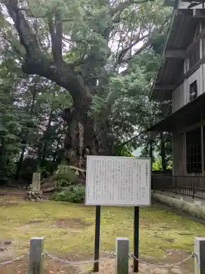 川津来宮神社(静岡県)