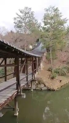 高台寺（高台寿聖禅寺・高臺寺）(京都府)