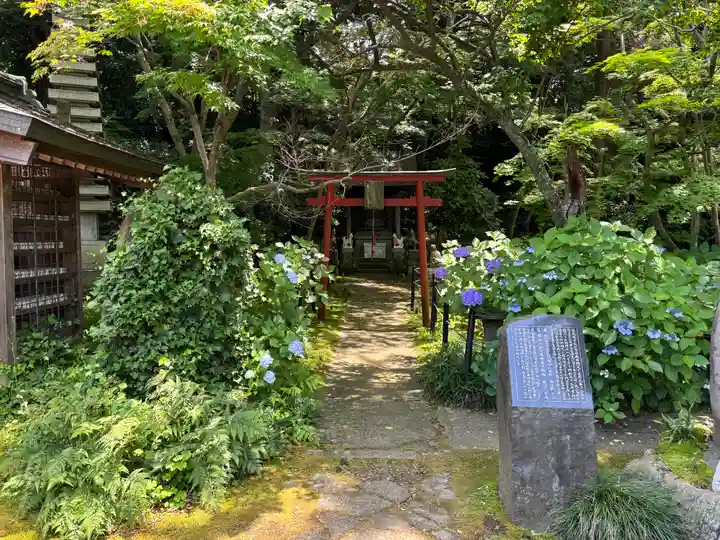 本土寺(千葉県)