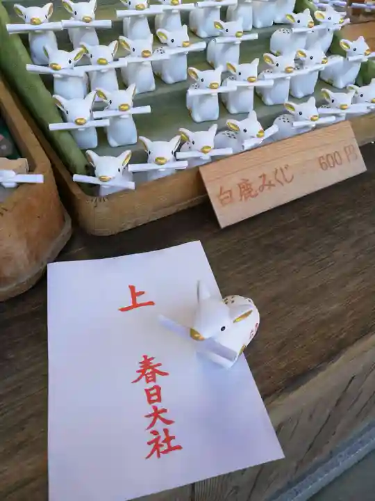 春日大社のおみくじ