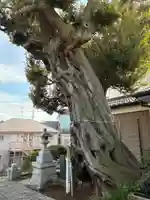 稲荷神社(千葉県)