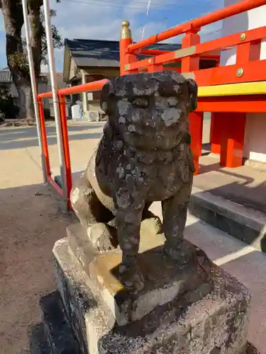 粟津天満神社の狛犬