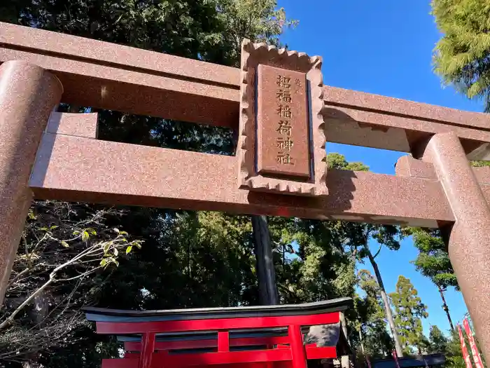 亀八招福稲荷神社の建物その他