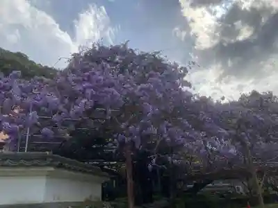 神光寺(徳島県)