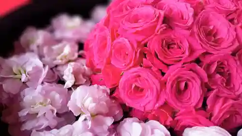 阿邪訶根神社の手水舎