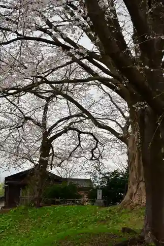 安禅寺(新潟県)