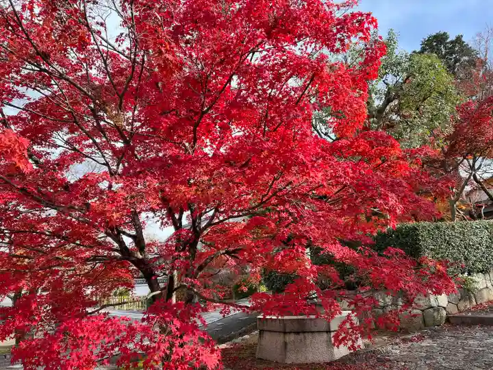 真正極楽寺(真如堂)(京都府)
