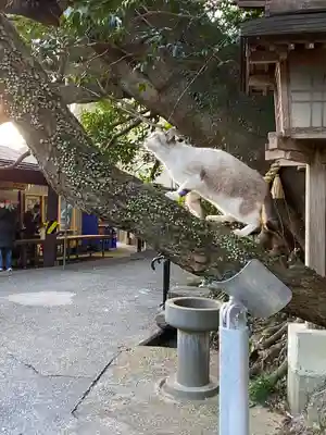 八大龍王水神(宮崎県)