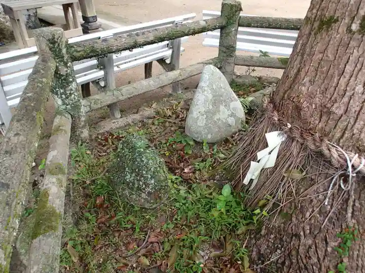 志賀海神社の自然