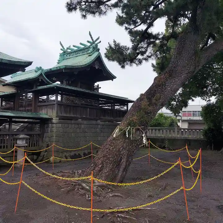 水神社(富士見町)の自然