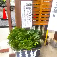 七重浜海津見神社(北海道)