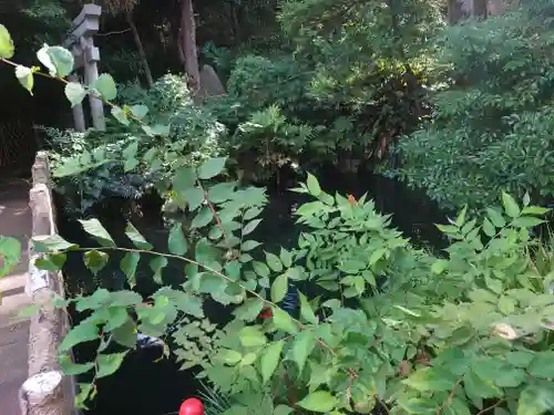 杵築大社(東京都)