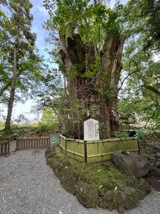 白髭神社(熊本県)