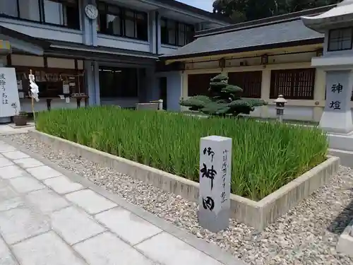 愛知縣護國神社の庭園