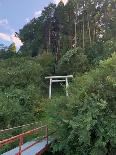 天満神社の鳥居