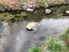 泉神社の自然