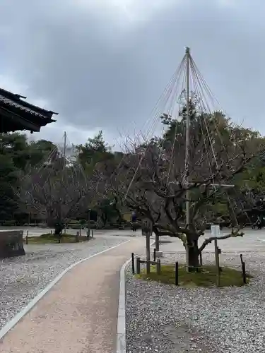 尾山神社(石川県)