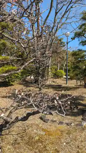  智積院(京都府)
